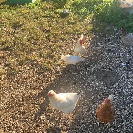 Logement Independant Le Poulailler Proche Guedelon Treigny Dış mekan fotoğraf